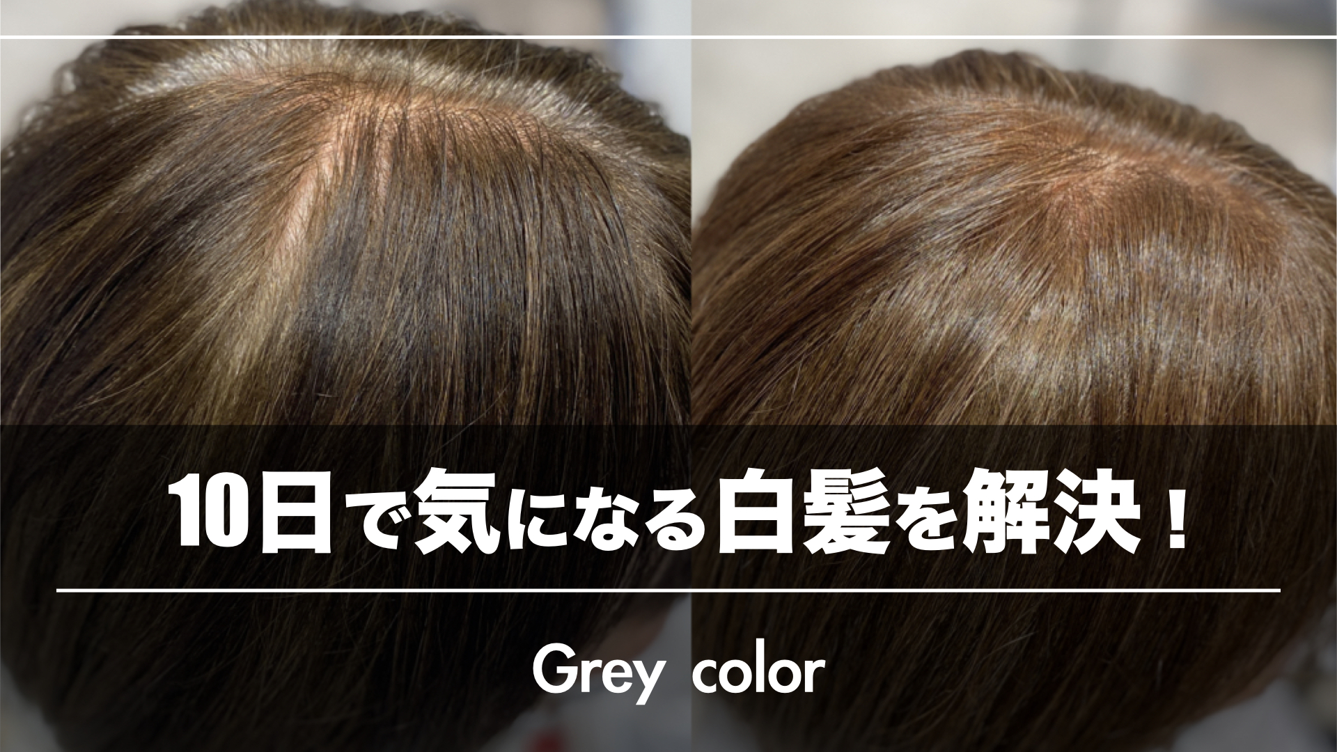 【10日で気になる白髪対策】上品に明るいヘアカラーに変える提案をしよう!