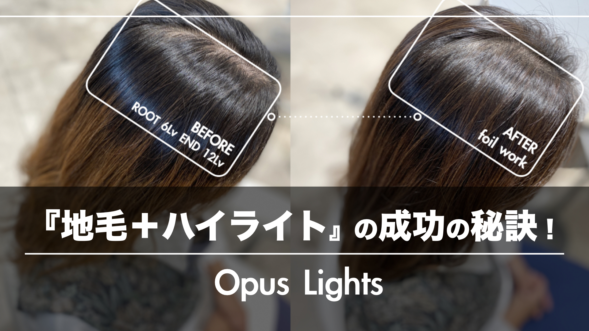 『地毛+ハイライト』の成功の秘密!あなたの知らない髪の条件とは?